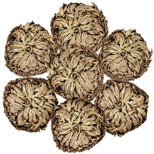 7 Pack Rose of Jericho Dried Plants - Rosa de Jerico Original, Dried Fern Lik...