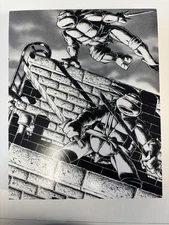 Mirage Studios Teenage Mutant Ninja Turtles Vol 1 TPB 1st Print TMNT 1988 HTF