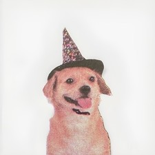 Pet Costume Dog, M / L, Bright Witch Hat with Sequins