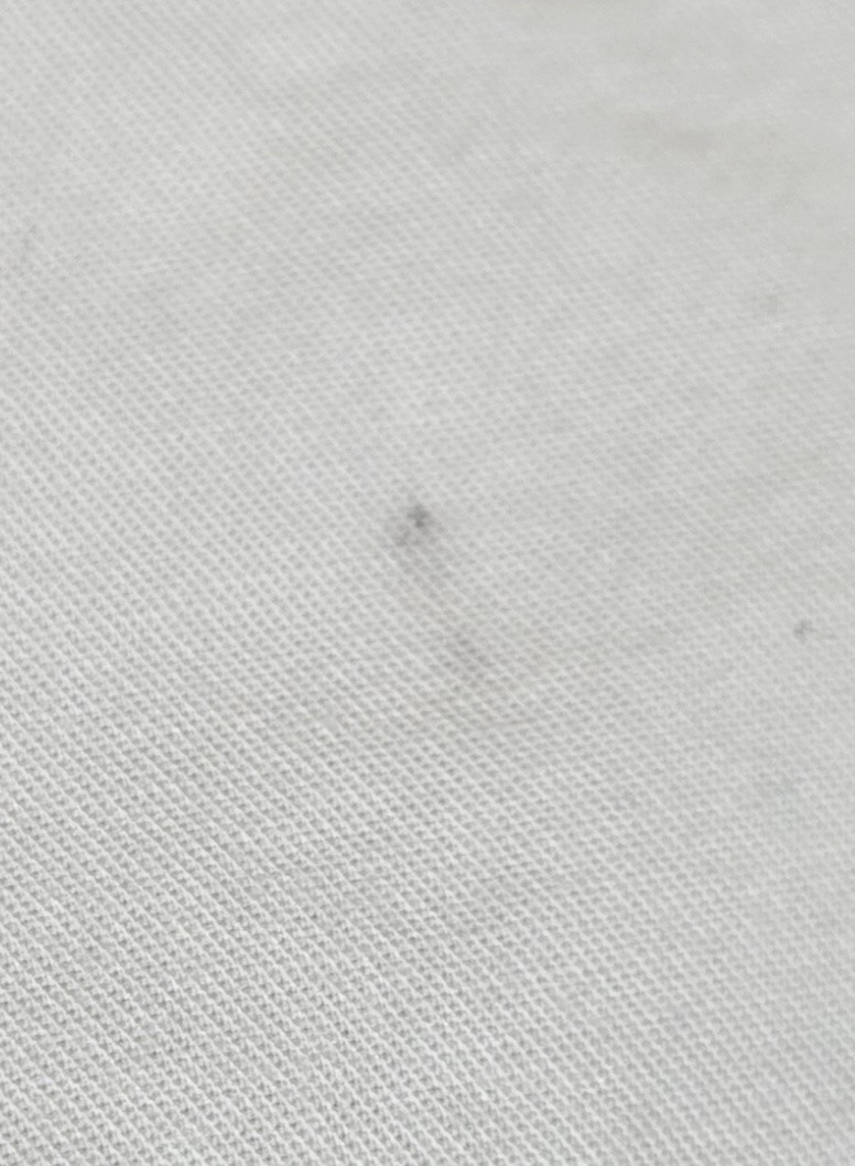 Picture 9 of 11