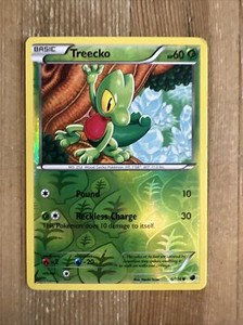 Treecko - 6/116 - Common - Reverse Holo LP English Pokemon Plasma Freeze