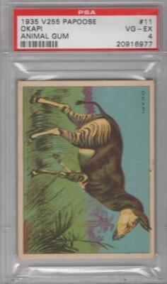 1935 Papoose Animal Gum V255 #11 OKAPI Graded PSA 4