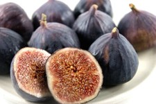 Suttons Fig Tree 'Brown Turkey' Self-Fertile Ficus carica Common Fig
