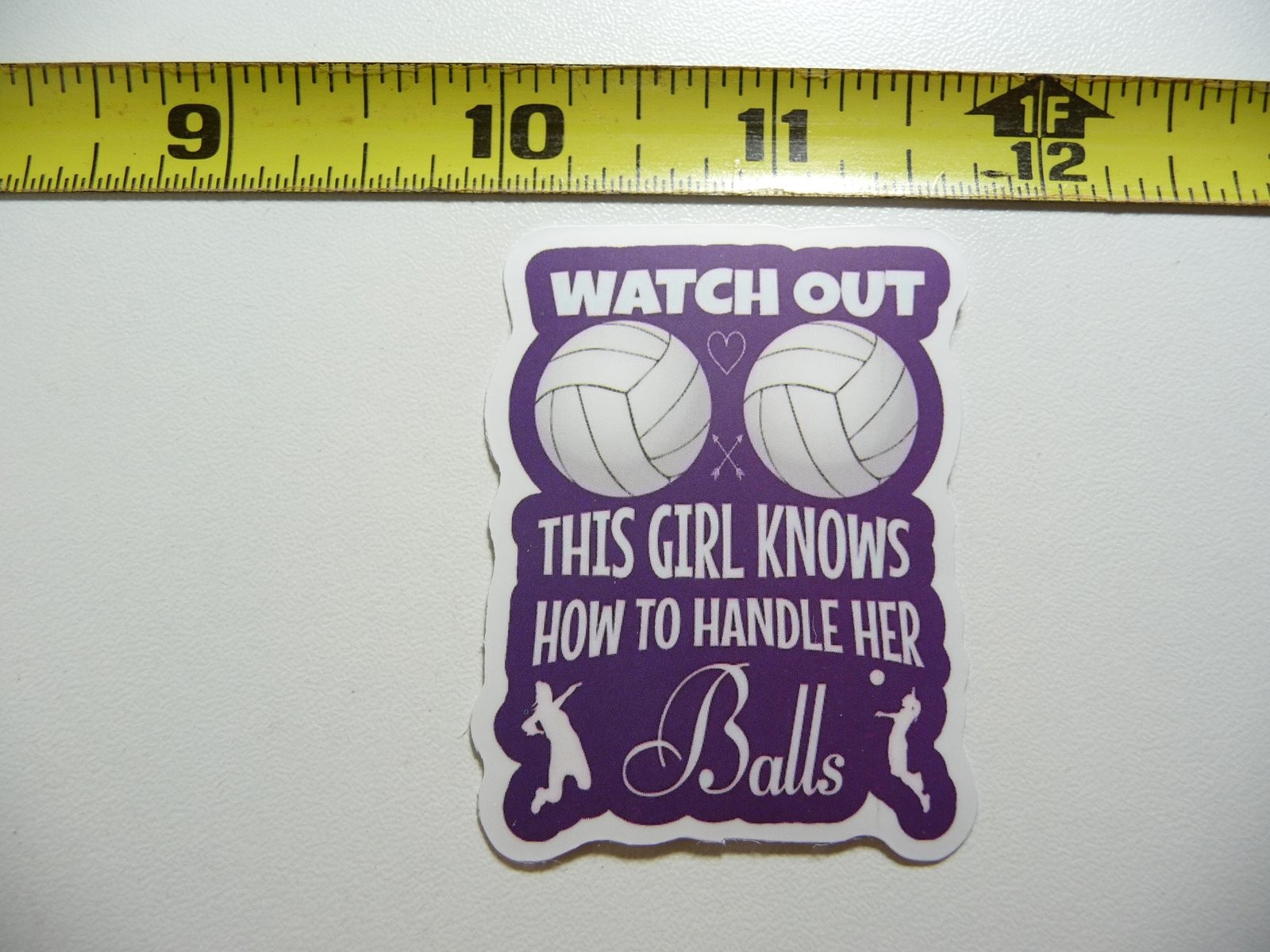 Funny Volleyball Decal Sticker for Girls and Women Sports Fans