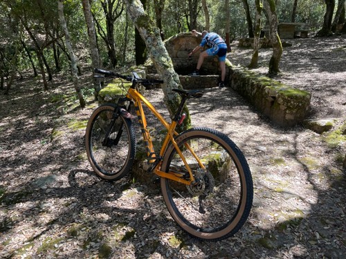 Trek x caliber 7 29 taglia M/L - Foto 3 di 4