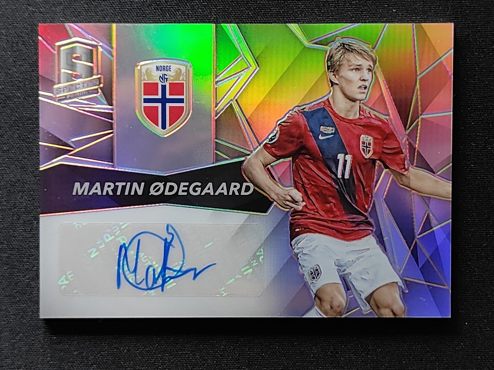 ウーデゴール 直筆サイン panini panini ウーデゴール サッカーサイン