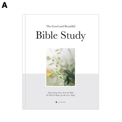 1X The Good and Beautiful Bible Study Vol 1 (SC) Paper Notebook GIFT - Foto 12 di 13