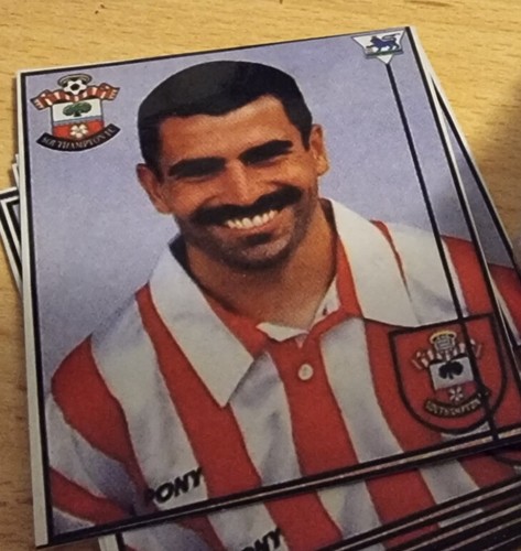 25 x Southampton FC Stickers - Flag Scarf  Badge - Francis Franny Benali LEGEND - Picture 1 of 2