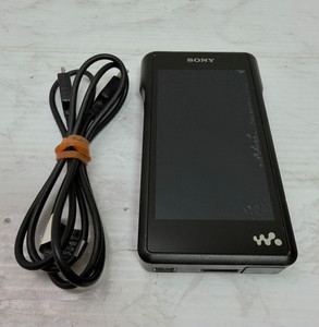 Sony Nw-Wm1a | eBay