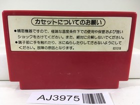 AJ3975 Donkey Kong 3 Nintendo Famicom NES Japan