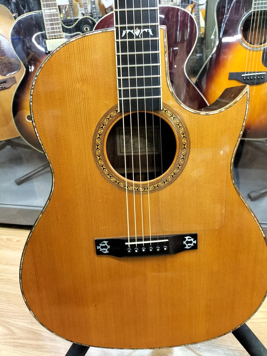 LARRIVEE Acoustic Guitar C-10 SEA HORSE | eBay