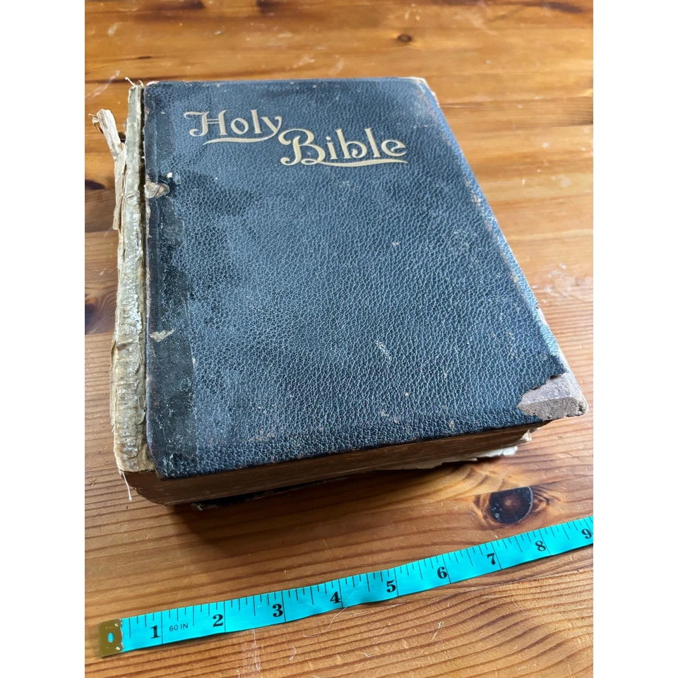 Antique The New Illuminated Holy Bible 1897 Frank E. Wright AS IS - Image 2 of 4