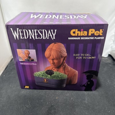 Chia Pet Wednesday with Seed Pack Decorative Pottery Planter The Addams Family