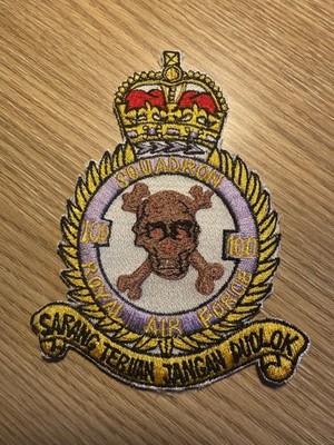 Vintage Royal Air Force RAF Squadron 100 Patch