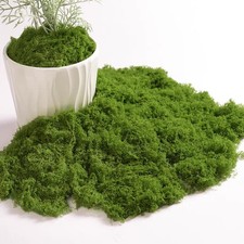 5.3 oz Artificial Moss for Crafts Fake Green Moss Decor for Fairy Gardens