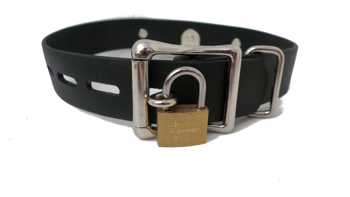 Kitten collars cheap ebay