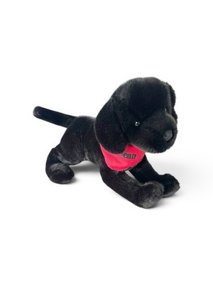 Douglas L.L. Bean Chester Black Lab Dog Plush Stuffed Animal 16'' New