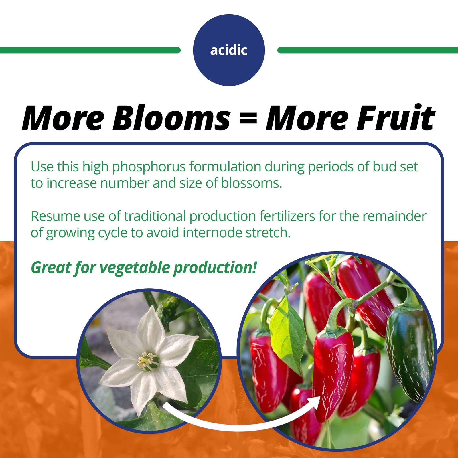J R Peters Jacks Classic Blossom Booster Water-Soluble Fertilizer - Thumbnail 4