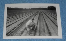 1980s Press Photo Dow AgroSciences Sales Agent Arthur Gardner of Dothan Alabama