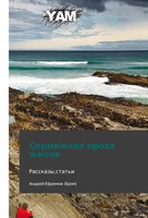 Andrey Efremov | Sermyazhnaya Proza Zhizni | Taschenbuch | Russisch (2014) | Yam