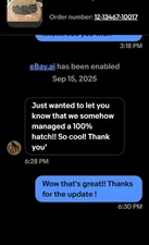 11+ Fertile  Ayam Cemani Chicken Hatching Eggs. Fresh When Shipped.