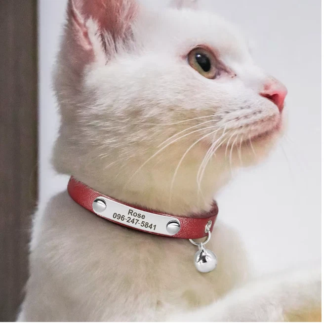 Personalised Leather Cat Collar Nylon Custom Name / Number Bell - image 4 of 4