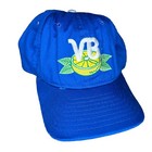 VTG 80s Vero Beach Dodgers New Era SnapBack Hat Blue Rare MiLB Cap Tampa Bay LA