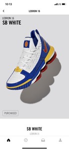 lebron sb white