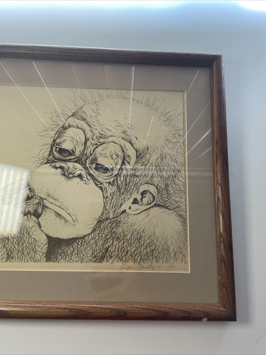 Handmade Sketched Monkey Hand drawn Pencil Sketch Drawing Framed