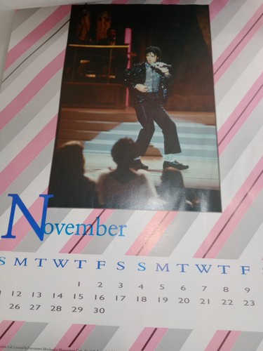 Michael Jackson 1984 Calendario Ufficiale, 12" X 16", VG - Foto 8 di 16