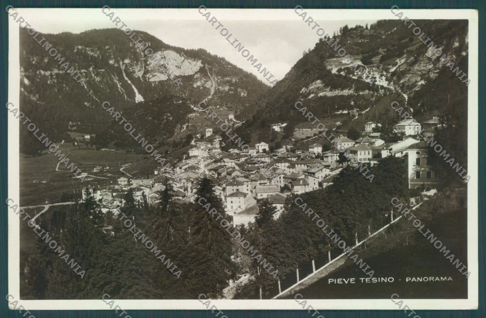 Trento Pieve Tesino Foto cartolina ZC5710