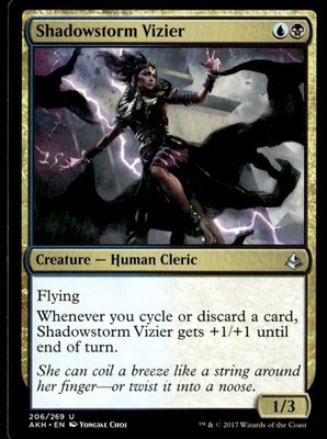 2017 Amonkhet Shadowstorm Vizier Expansion/Uncommon #206