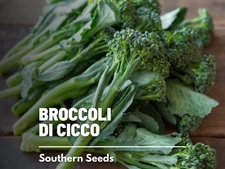 Di Cicco Broccoli Seeds, Heirloom Vegetable, Productive Variety, USA Grown