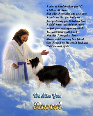 sitting pretty mobile grooming