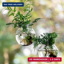 Window Propagation Stations, Oblate Glass Terrariums Planter with Suction Cup Ho