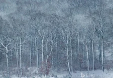 Suncourt HC600 Equalizer EZ8 Register Booster Fan Boost Hot/Cold Air 7" x 14"