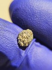 NWA 12564 Martian Meteorite 0.152g Mini Individual Rare Shergottite COA — photo 9