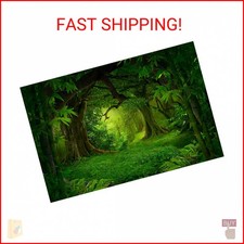 Jungle Forest Backdrop Rainforest Huge Trees Natural Landscape Photography Backg