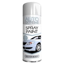 Silver Matt Aerosol Spray Paint Auto Car Van Bike Restore Metal Spray 250ml