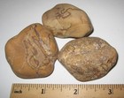 3 BEAUTIFUL TUMBLED POLISHED NATURAL PICTURE JASPER STONE MINERALS ~ 142.2g *5 — photo 5