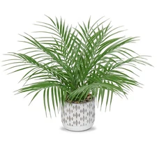 Hollyone Large Artificial Potted Plants Fake Palm Plants 16" Faux Green Plant...