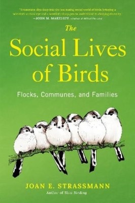 Joan E. Strassmann The Social Lives of Birds (Gebundene Ausgabe)