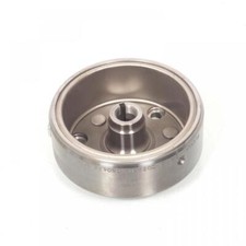 Rotor d alternateur origine pour moto Fym 125 Idaho 2006 FY125-7A Occasion