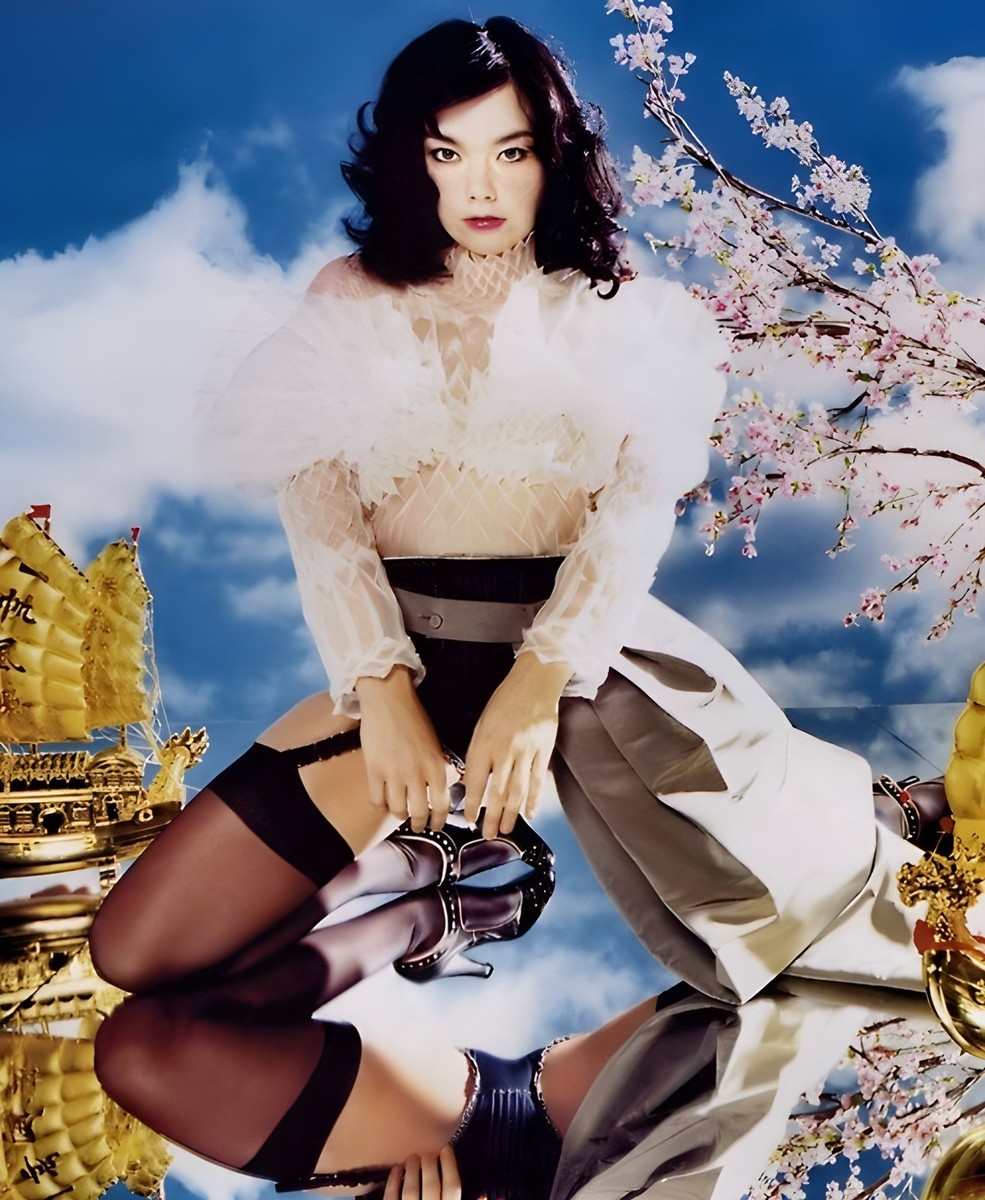 11x14 Bjork Lachapelle Poster Photography | eBay