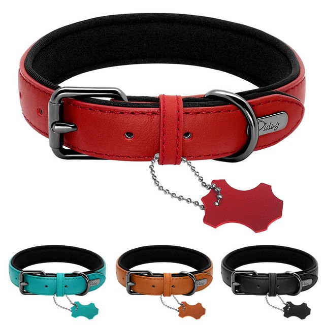 Soft Plain Leather Dog Collar with Heavy Duty Buckle for Small Medium