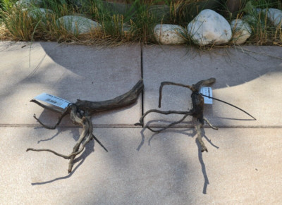2x Sera Scaper Root XS Wurzel 28x11x6cm + 29x9x10cm Holz für Garnelen Aquarium