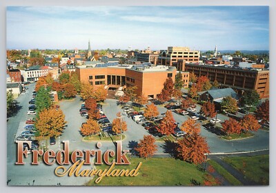 Frederick Maryland Postcard
