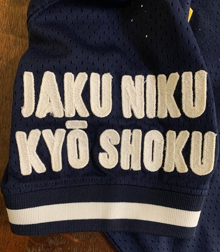 IRO OCHI Men’s Size XL Navy Blue HIROSHIMA Embroidered Baseball Jersey - Picture 10 of 12