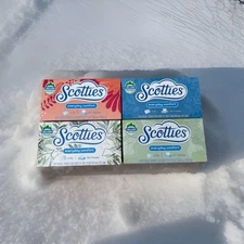 Scotties Facial Tissues Everyday Comfort 2ply 120 Tissues Per Box - 4 Boxes