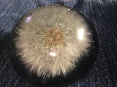 Vntg. Handcrafted Dandelion Paperweight/Tarax Infinity Products